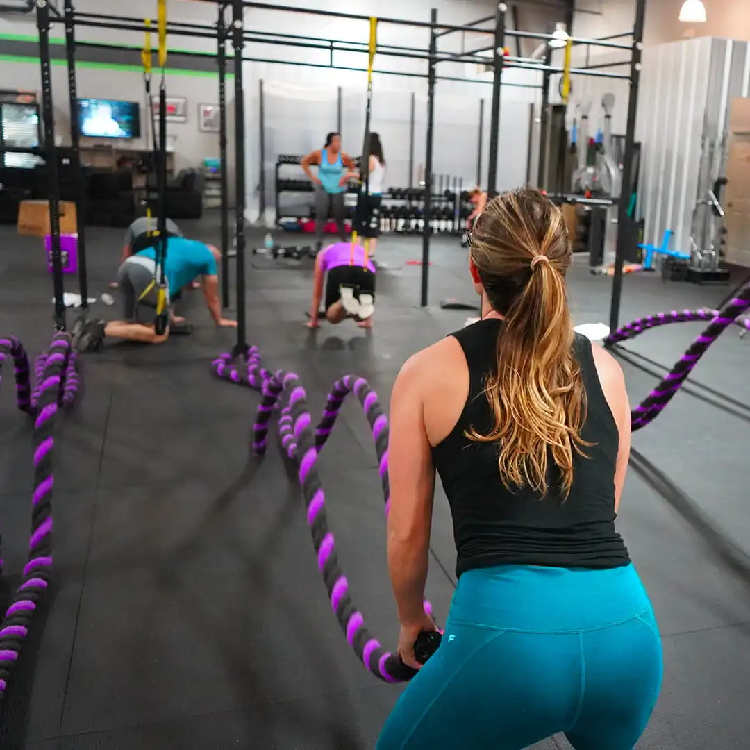 Tabata Proxiforme Gannat